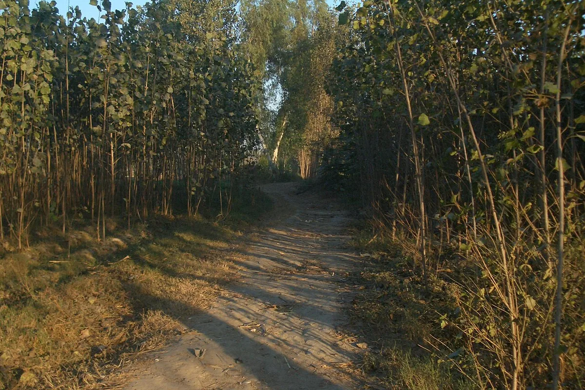 Sendero de grava vacío de primer plano de personas